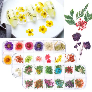 3D Kurutulmuş Çiçek Tırnak Dekorasyon Doğal Çiçek Sticker 1 Kutu Karışık Yaprak DIY Nail Art Çıkartmaları UV Jel Lehçe Korunmuş Kuru Çiçekler